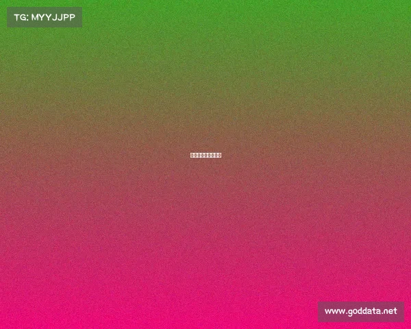 泰达足协杯夺冠阵容